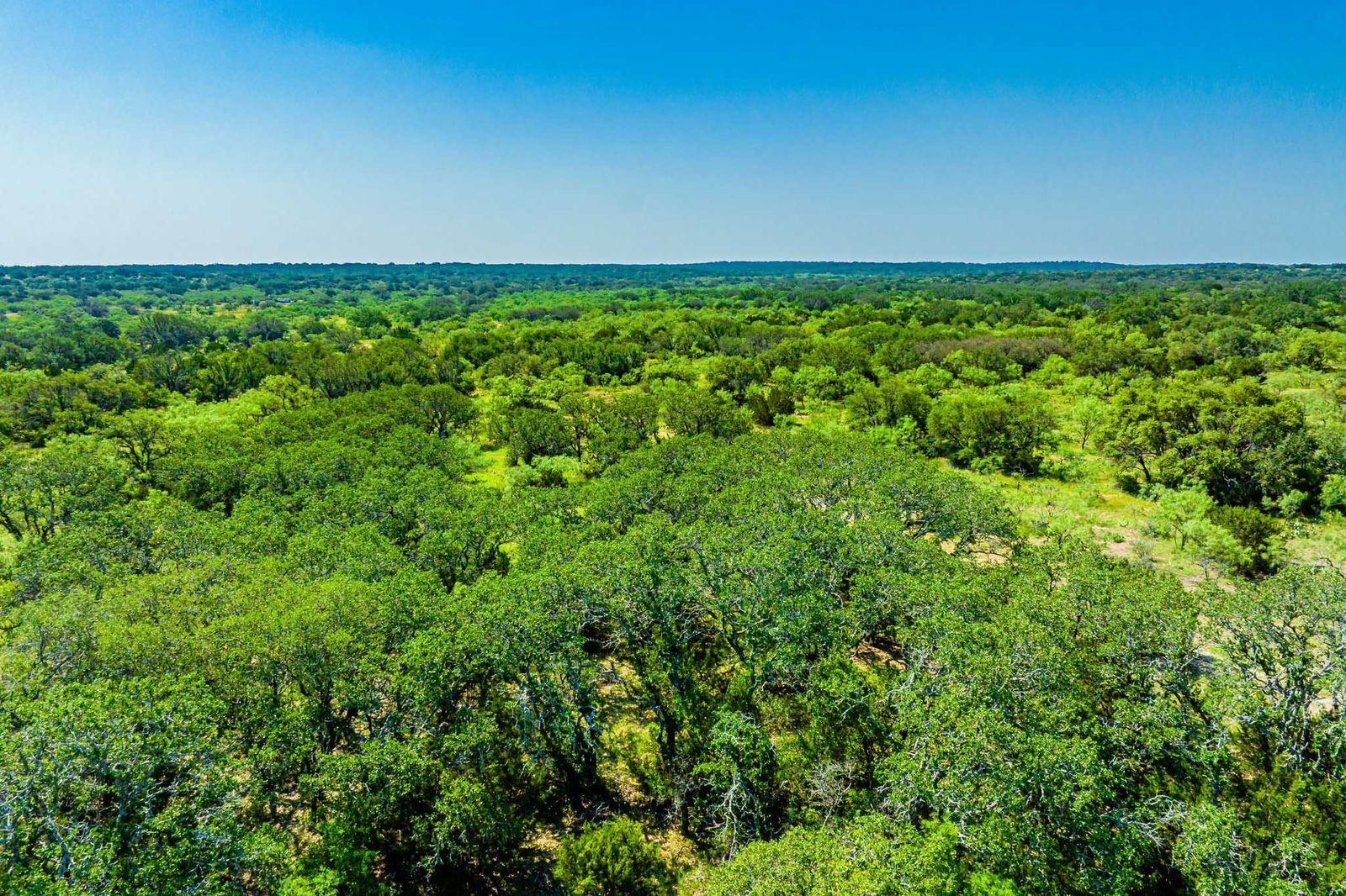 Menard County Twin Oaks Ranch S of Menard Texas Ranches For Sale